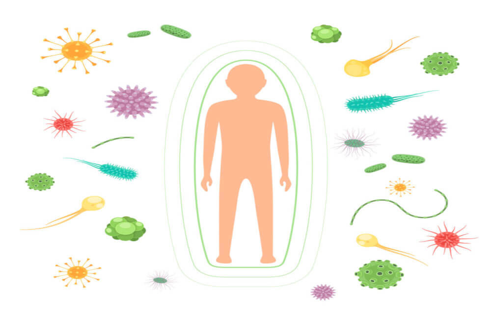 Creating a Balanced Immune System Autoimmunity