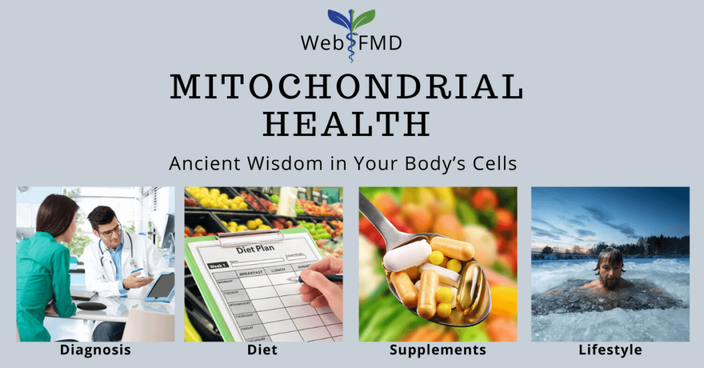 Mitochondrial Health Functional Medicine